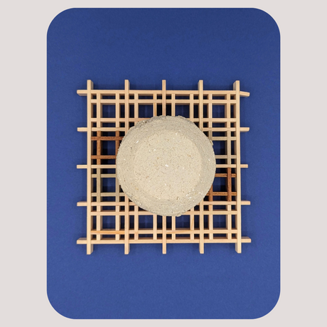 Collection de barres de shampoing solides 