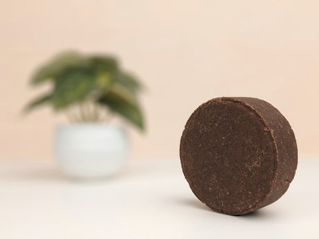 Fresh & Balance – Solid Shampoo Bar