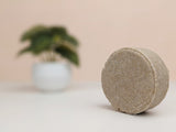 Soothing Oat & Coconut Shampoo Bar