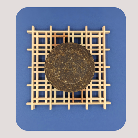 Collection de barres de shampoing solides 